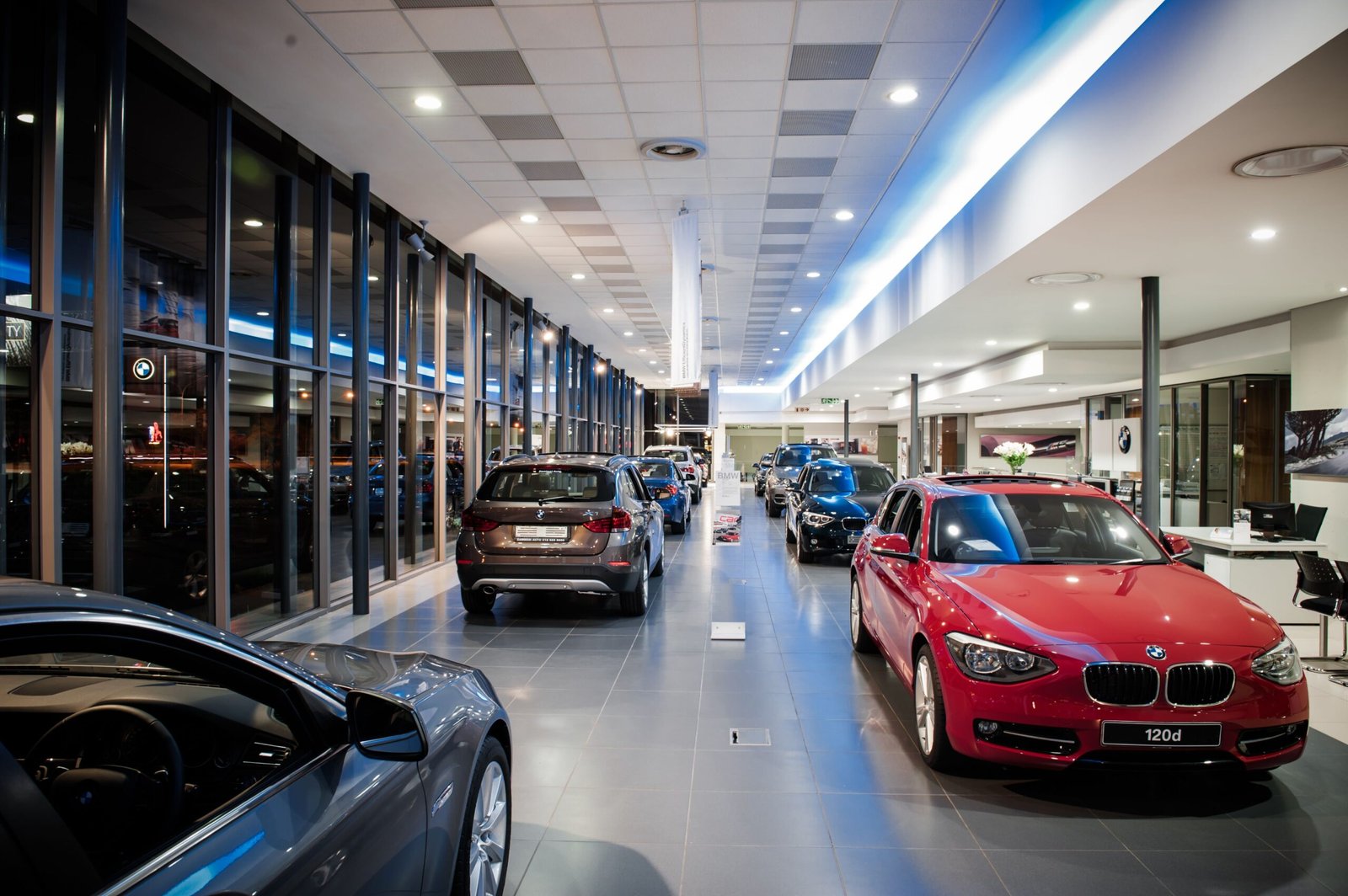Dealers & Distributors