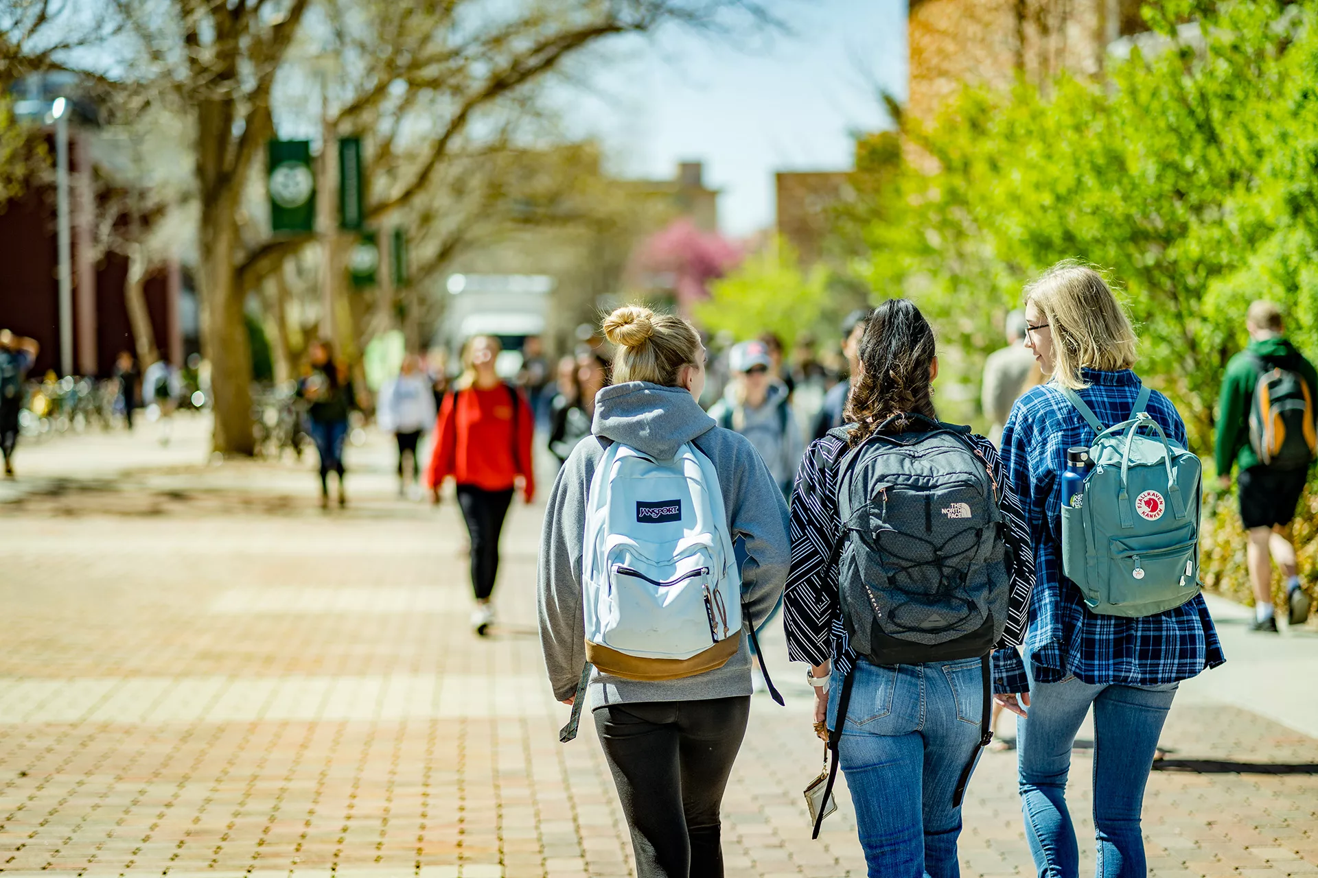 Higher Education
