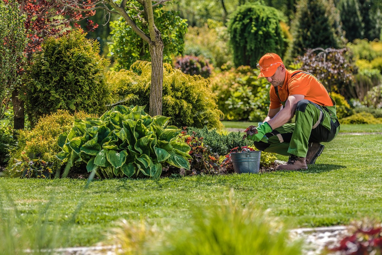 Landscaping