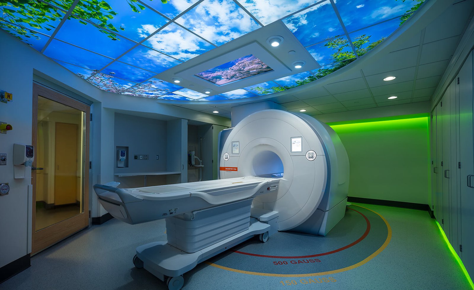 Medical Imaging & Radiology